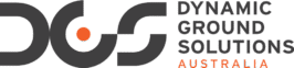 dgsa logo landscape